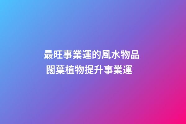 最旺事業運的風水物品  闊葉植物提升事業運
